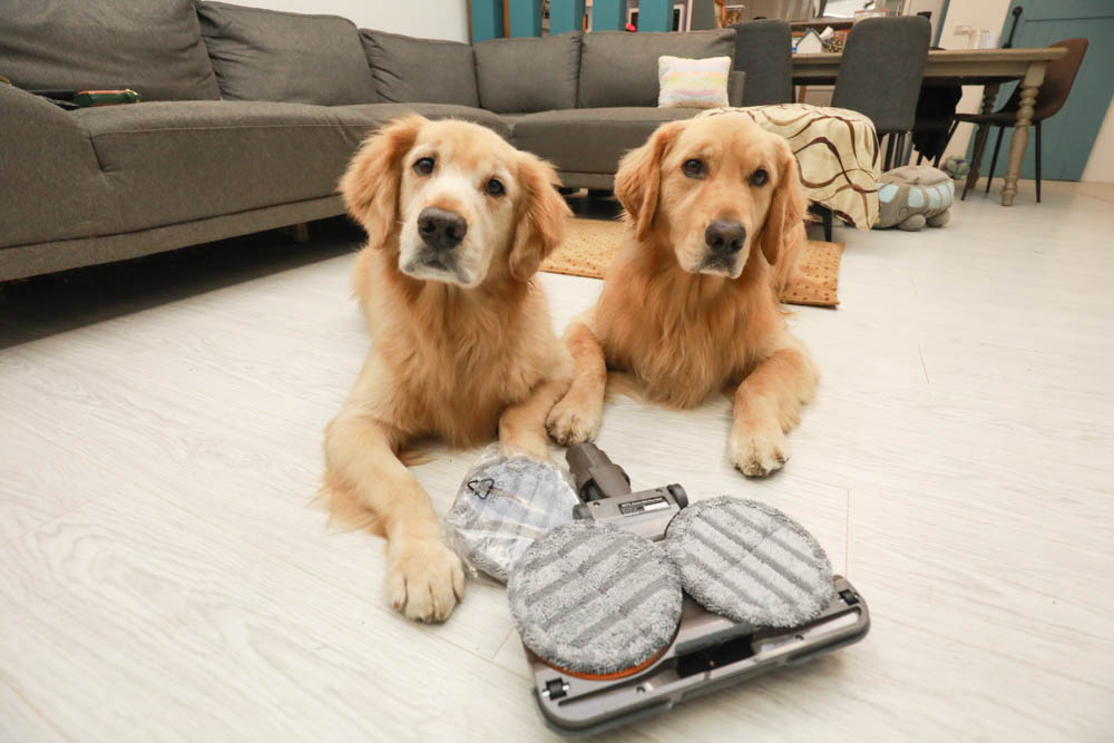 清潔打掃神器｜ANEWPOW AC66/AC71-DYSON吸塵器用UV殺菌電動濕拖刷頭。邊吸地邊拖地、DYSON V6/V8/V10/V11系列適用