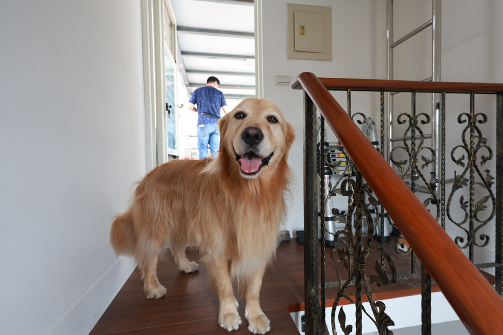 HCG和成豪華四桿款電動曬衣機。紫外線殺菌燈、遙控升降、寵物家庭居家晾曬大升級、陽台曬衣電動化 - 第26張圖 HCG和成豪華四桿款電動曬衣機。紫外線殺菌燈、遙控升降、寵物家庭居家晾曬大升級、陽台曬衣電動化