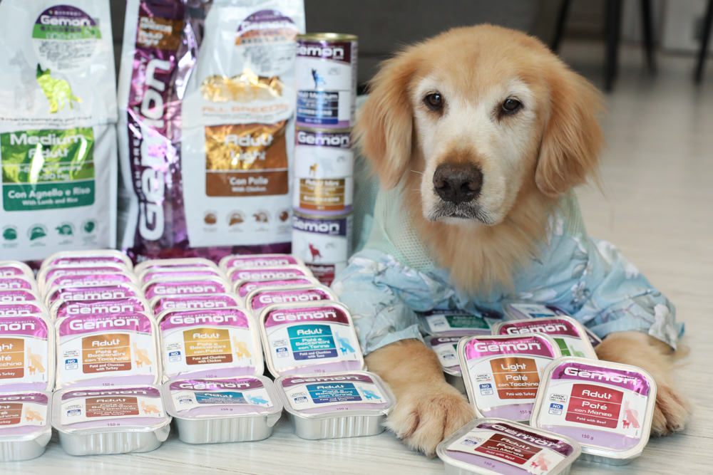 寵物飼料推薦｜Gemon義大利啟蒙寵糧、犬用餐盒、無穀犬用主食餐包、狗狗主食罐、義大利原裝進口、無穀低敏、營養比例高肉量
