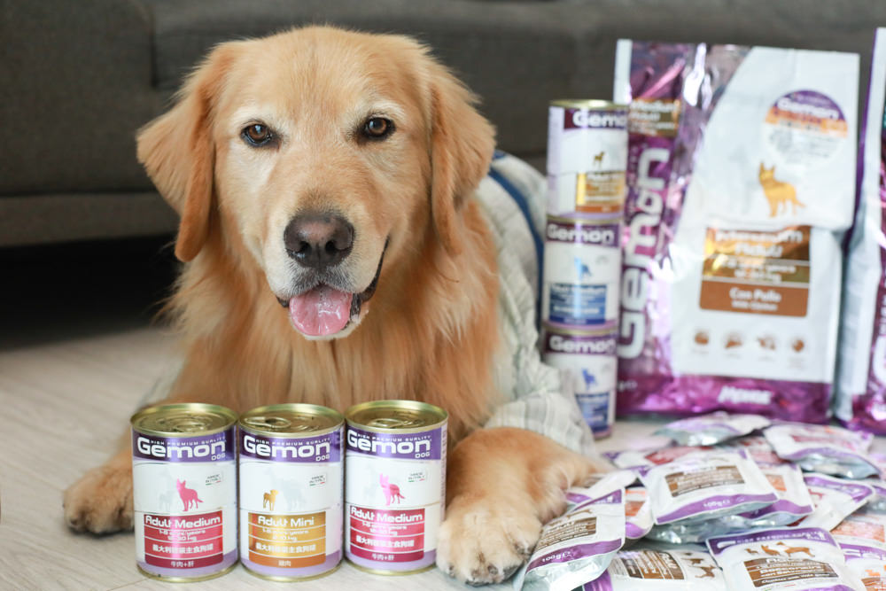 寵物飼料推薦｜Gemon義大利啟蒙寵糧、犬用餐盒、無穀犬用主食餐包、狗狗主食罐、義大利原裝進口、無穀低敏、營養比例高肉量