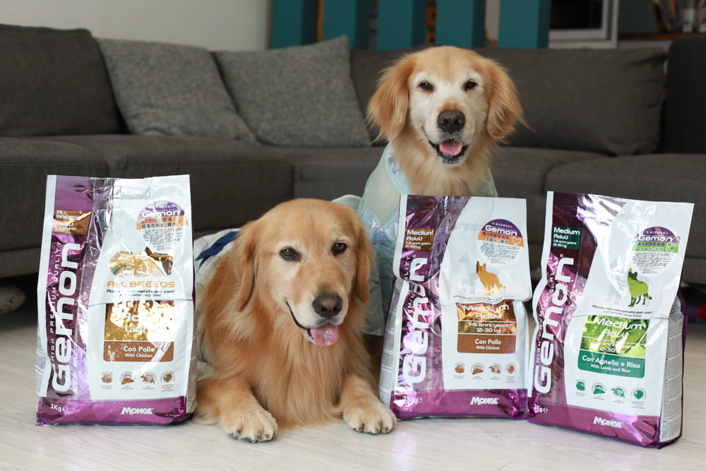 寵物飼料推薦｜Gemon義大利啟蒙寵糧、犬用餐盒、無穀犬用主食餐包、狗狗主食罐、義大利原裝進口、無穀低敏、營養比例高肉量