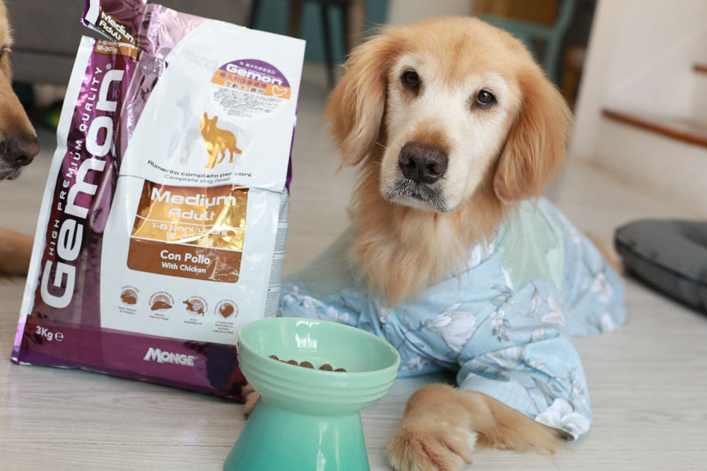 寵物飼料推薦｜Gemon義大利啟蒙寵糧、犬用餐盒、無穀犬用主食餐包、狗狗主食罐、義大利原裝進口、無穀低敏、營養比例高肉量