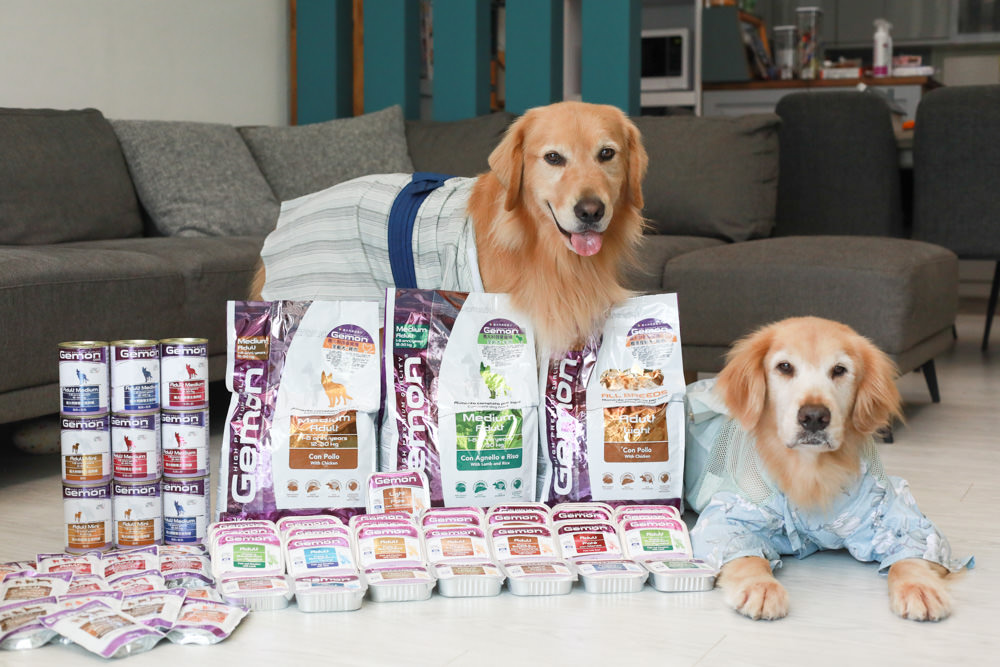 寵物飼料推薦｜Gemon義大利啟蒙寵糧、犬用餐盒、無穀犬用主食餐包、狗狗主食罐、義大利原裝進口、無穀低敏、營養比例高肉量