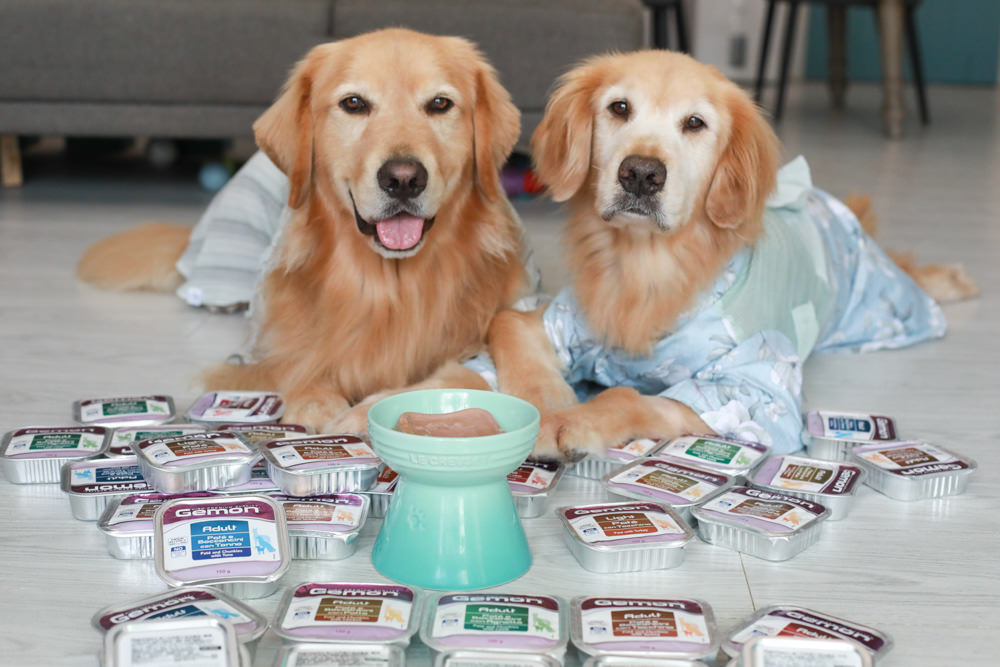 寵物飼料推薦｜Gemon義大利啟蒙寵糧、犬用餐盒、無穀犬用主食餐包、狗狗主食罐、義大利原裝進口、無穀低敏、營養比例高肉量