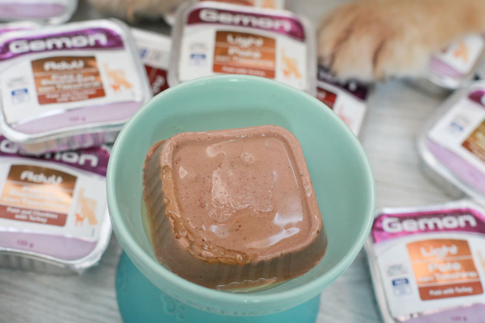 寵物飼料推薦｜Gemon義大利啟蒙寵糧、犬用餐盒、無穀犬用主食餐包、狗狗主食罐、義大利原裝進口、無穀低敏、營養比例高肉量