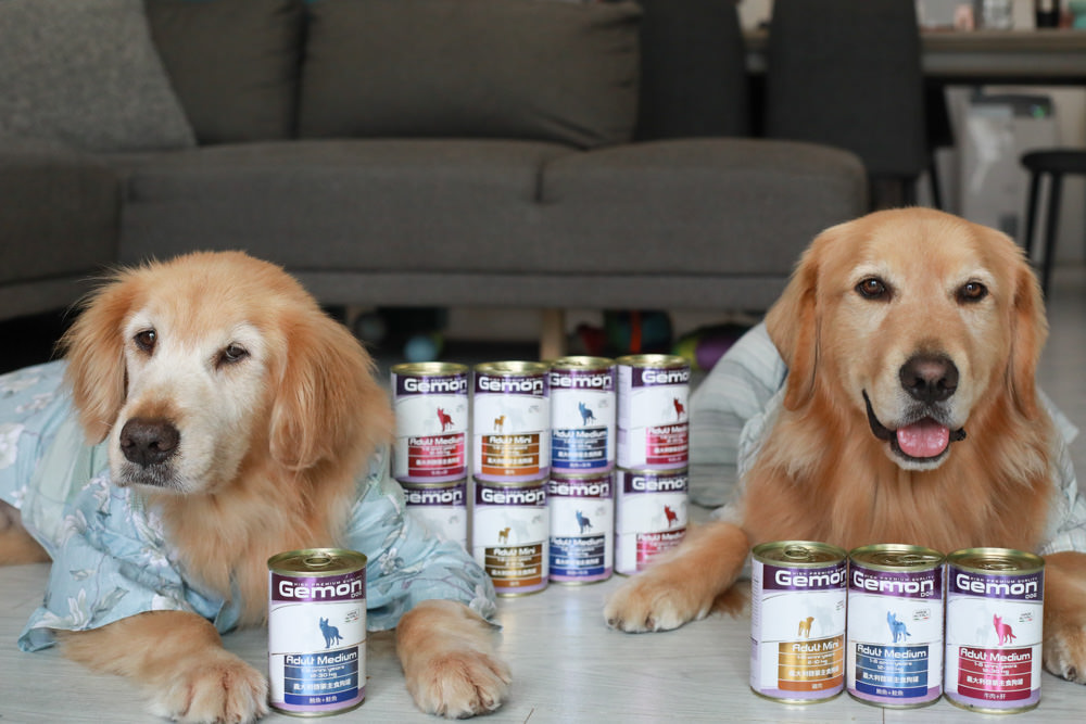寵物飼料推薦｜Gemon義大利啟蒙寵糧、犬用餐盒、無穀犬用主食餐包、狗狗主食罐、義大利原裝進口、無穀低敏、營養比例高肉量