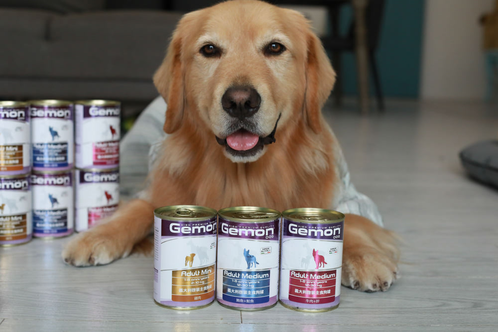 寵物飼料推薦｜Gemon義大利啟蒙寵糧、犬用餐盒、無穀犬用主食餐包、狗狗主食罐、義大利原裝進口、無穀低敏、營養比例高肉量