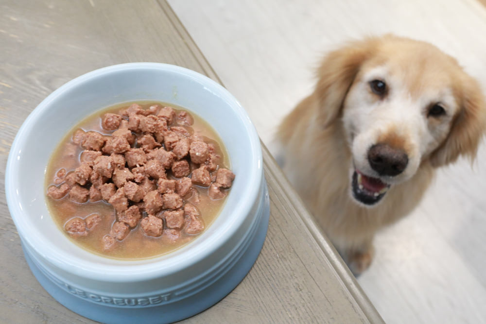 寵物飼料推薦｜Gemon義大利啟蒙寵糧、犬用餐盒、無穀犬用主食餐包、狗狗主食罐、義大利原裝進口、無穀低敏、營養比例高肉量
