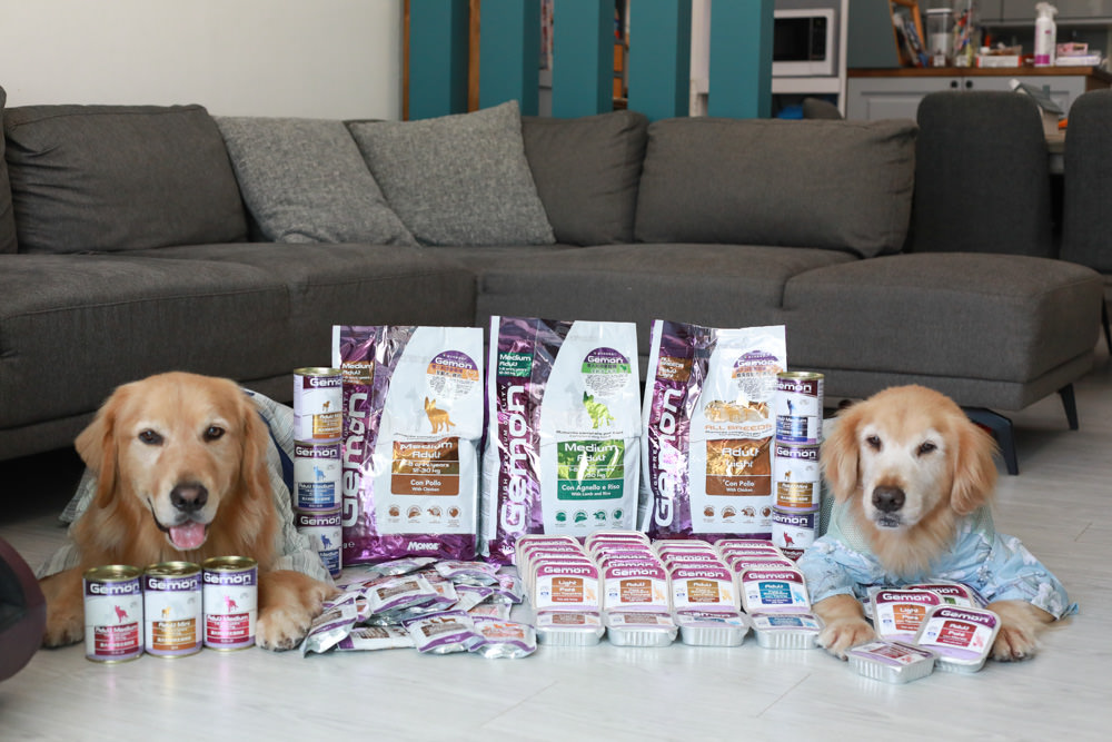 寵物飼料推薦｜Gemon義大利啟蒙寵糧、犬用餐盒、無穀犬用主食餐包、狗狗主食罐、義大利原裝進口、無穀低敏、營養比例高肉量