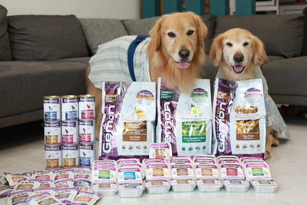 寵物飼料推薦｜Gemon義大利啟蒙寵糧、犬用餐盒、無穀犬用主食餐包、狗狗主食罐、義大利原裝進口、無穀低敏、營養比例高肉量