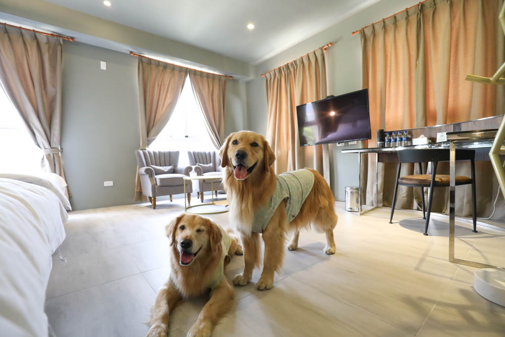 南投埔里住宿｜埔樂鮮啤Pro Beer X 沙連堡旅館。寵物友善旅館民宿、精釀啤酒工廠、啤酒BAR