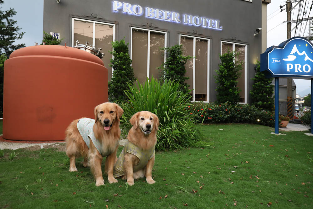南投埔里住宿｜埔樂鮮啤Pro Beer X 沙連堡旅館。寵物友善旅館民宿、精釀啤酒工廠、啤酒BAR
