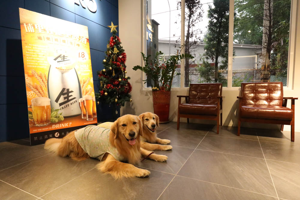 南投埔里住宿｜埔樂鮮啤Pro Beer X 沙連堡旅館。寵物友善旅館民宿、精釀啤酒工廠、啤酒BAR