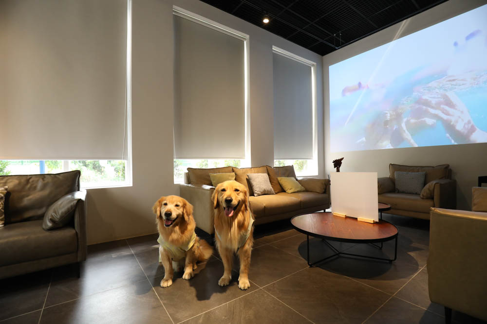 南投埔里住宿｜埔樂鮮啤Pro Beer X 沙連堡旅館。寵物友善旅館民宿、精釀啤酒工廠、啤酒BAR