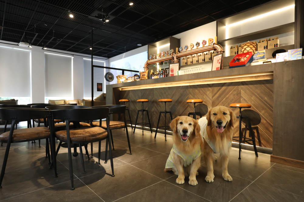 南投埔里住宿｜埔樂鮮啤Pro Beer X 沙連堡旅館。寵物友善旅館民宿、精釀啤酒工廠、啤酒BAR