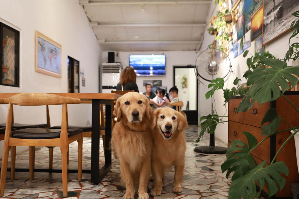 墾丁恆春美食｜喜喜美式餐廳（恆春小吃部）。寵物友善餐廳、手打漢堡、健康豐盛早午餐