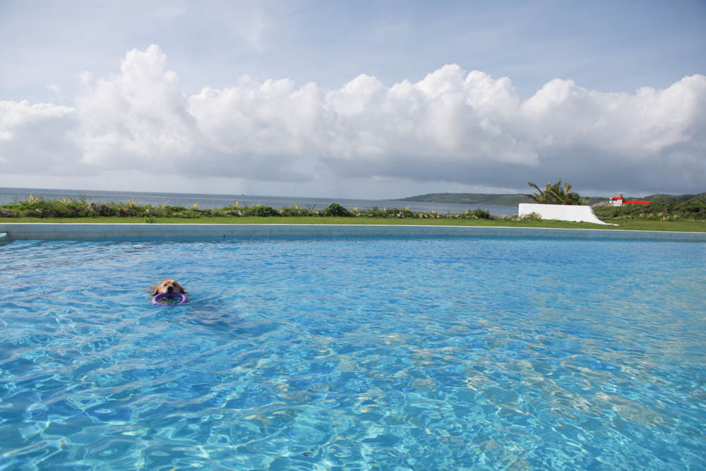 墾丁喜樂之地秘境。墾丁寵物友善民宿、墾丁包棟民宿、墾丁海景民宿、大草皮、絕美金沙灘、無邊際海景游泳池 - 第12張圖 墾丁喜樂之地秘境。墾丁寵物友善民宿、墾丁包棟民宿、墾丁海景民宿、大草皮、絕美金沙灘、無邊際海景游泳池