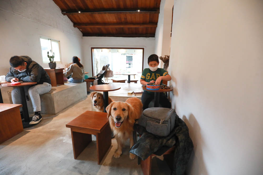 花蓮美食|魚刺人雞蛋糕咖啡館七星潭店。寵物友善餐廳、海邊療癒系老屋、爆漿雞蛋糕 - 第9張圖 花蓮美食|魚刺人雞蛋糕咖啡館七星潭店。寵物友善餐廳、海邊療癒系老屋、爆漿雞蛋糕