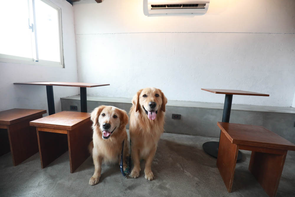 花蓮美食|魚刺人雞蛋糕咖啡館七星潭店。寵物友善餐廳、海邊療癒系老屋、爆漿雞蛋糕 - 第8張圖 花蓮美食|魚刺人雞蛋糕咖啡館七星潭店。寵物友善餐廳、海邊療癒系老屋、爆漿雞蛋糕