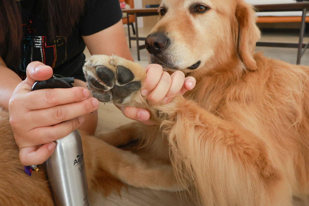 依鈦寵物抗菌專家。寵物抗菌噴霧、寵物潔耳液｜用於寵物日常生活環境、寵物皮膚毛髮護理