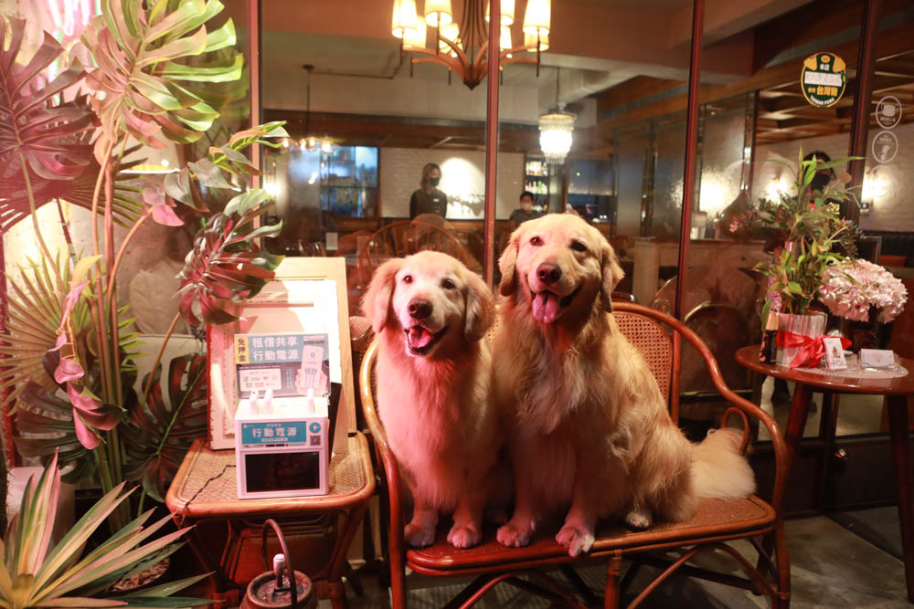 台北東區美食｜Old Seat Restaurant.Cafe川酒＆咖啡。寵物友善餐廳、復古川菜餐酒館、道地川菜