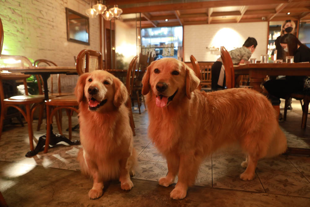 台北東區美食｜Old Seat Restaurant.Cafe川酒＆咖啡。寵物友善餐廳、復古川菜餐酒館、道地川菜