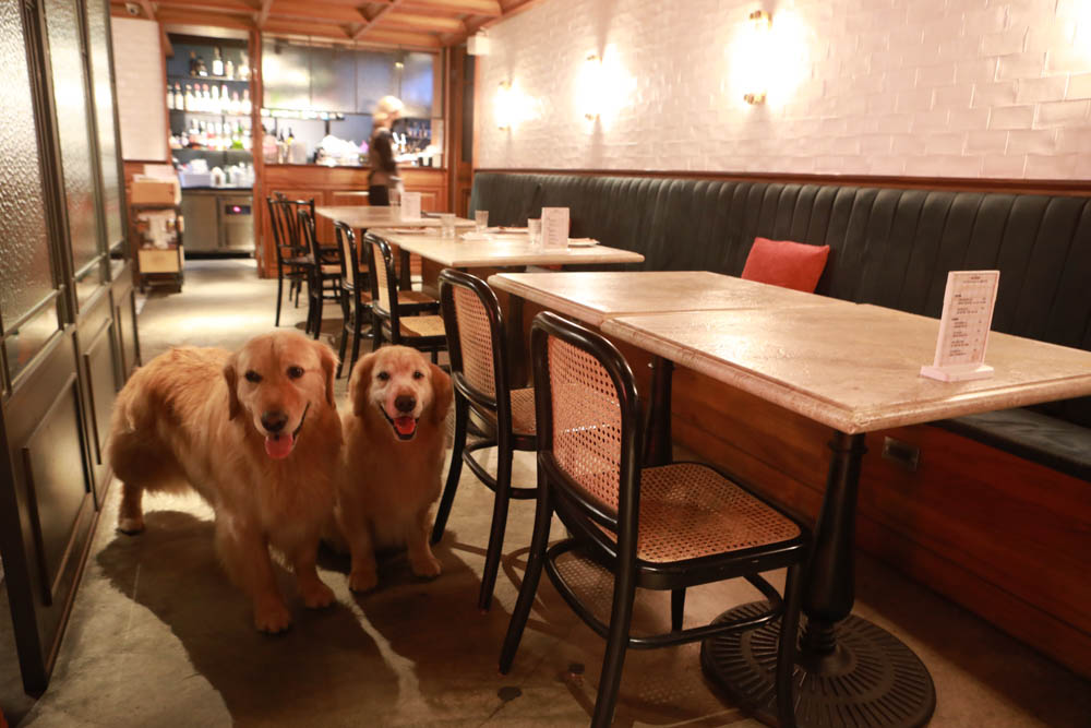 台北東區美食｜Old Seat Restaurant.Cafe川酒＆咖啡。寵物友善餐廳、復古川菜餐酒館、道地川菜