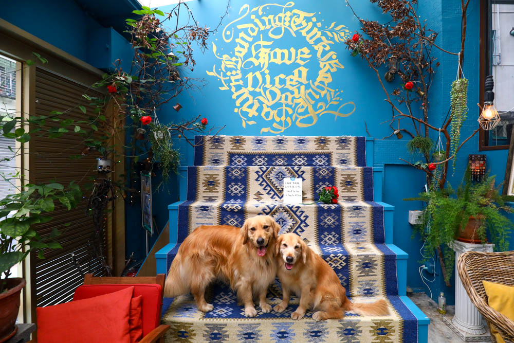 台北大安美食｜登陸土星土耳其咖啡 Saturn Landing Turkish Coffee。土耳其燉菜以及超特別的土耳其咖啡甜點、寵物友善餐廳