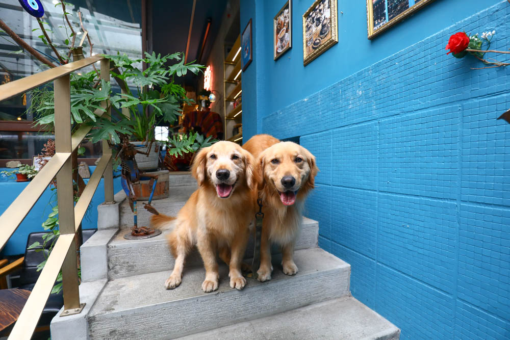 台北大安美食｜登陸土星土耳其咖啡 Saturn Landing Turkish Coffee。土耳其燉菜以及超特別的土耳其咖啡甜點、寵物友善餐廳