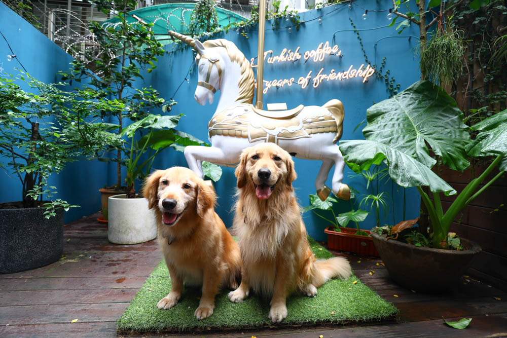 台北大安美食｜登陸土星土耳其咖啡 Saturn Landing Turkish Coffee。土耳其燉菜以及超特別的土耳其咖啡甜點、寵物友善餐廳