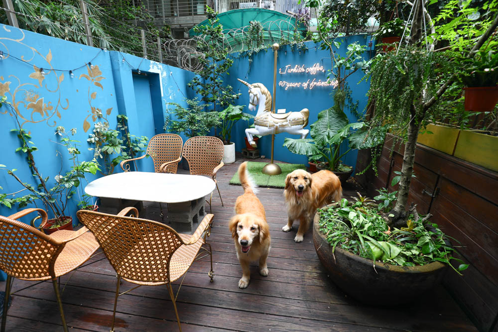 台北大安美食｜登陸土星土耳其咖啡 Saturn Landing Turkish Coffee。土耳其燉菜以及超特別的土耳其咖啡甜點、寵物友善餐廳