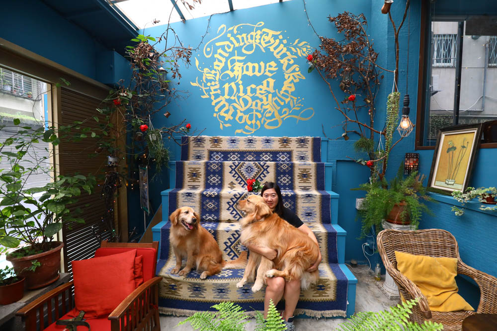 台北大安美食｜登陸土星土耳其咖啡 Saturn Landing Turkish Coffee。土耳其燉菜以及超特別的土耳其咖啡甜點、寵物友善餐廳