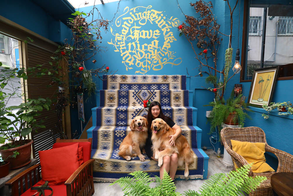 台北大安美食｜登陸土星土耳其咖啡 Saturn Landing Turkish Coffee。土耳其燉菜以及超特別的土耳其咖啡甜點、寵物友善餐廳