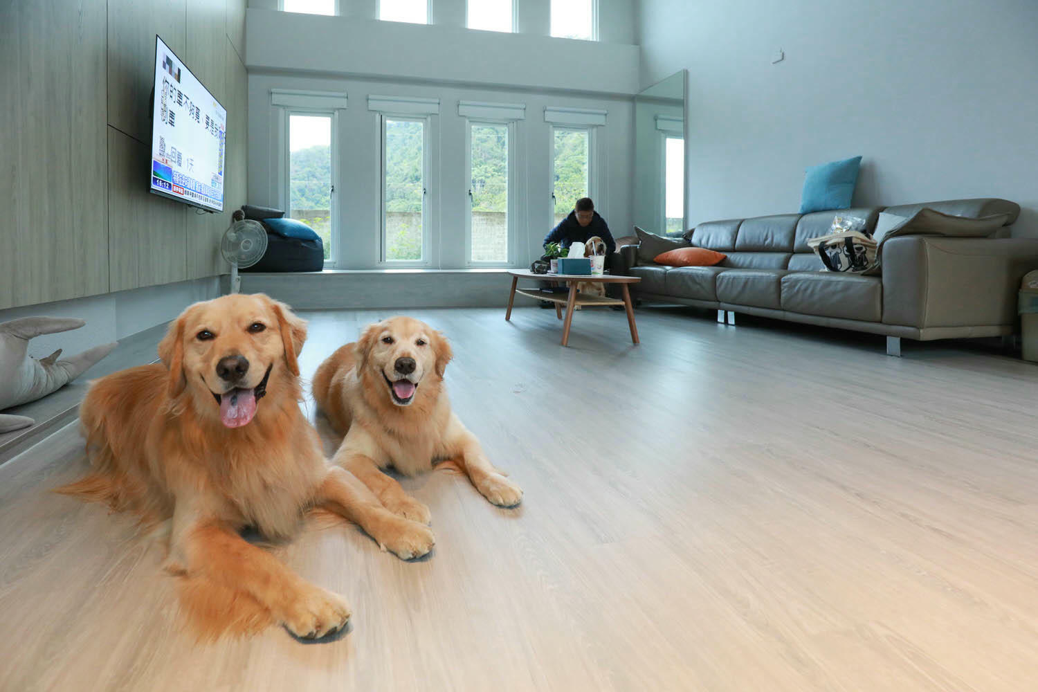 南投埔里｜享想旅宿 REVEL VILLA 。南投寵物友善民宿、溫馨舒適的美式現代風建築、綠意盎然大草皮