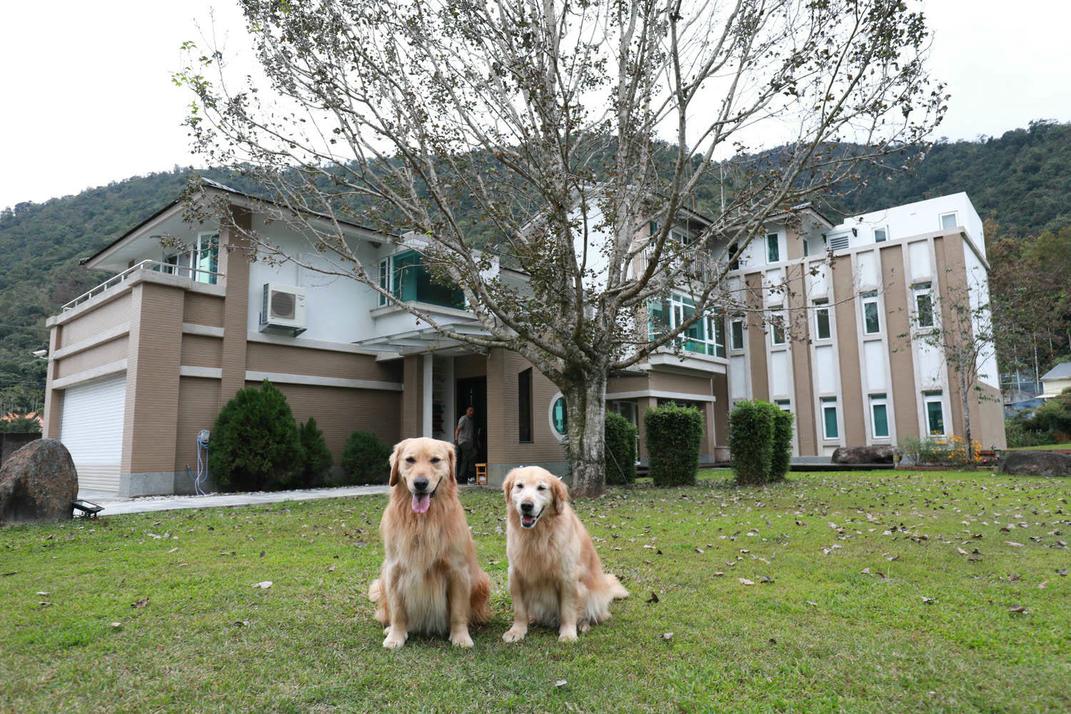 南投埔里｜享想旅宿 REVEL VILLA 。南投寵物友善民宿、溫馨舒適的美式現代風建築、綠意盎然大草皮