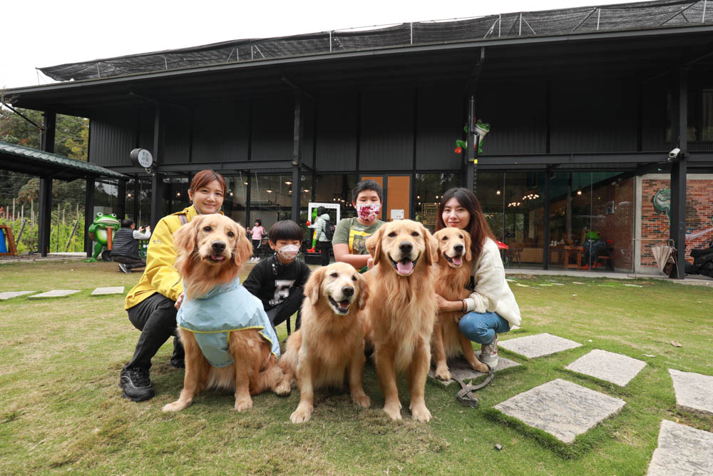 南投埔里美食｜有水居創意餐坊。青蛙主題景觀餐廳、南投寵物友善餐廳、桃米親水公園旁