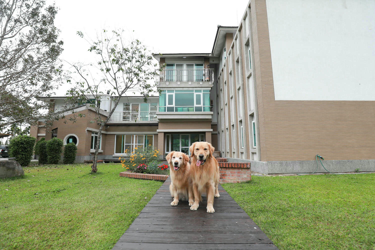 南投埔里｜享想旅宿 REVEL VILLA 。南投寵物友善民宿、溫馨舒適的美式現代風建築、綠意盎然大草皮