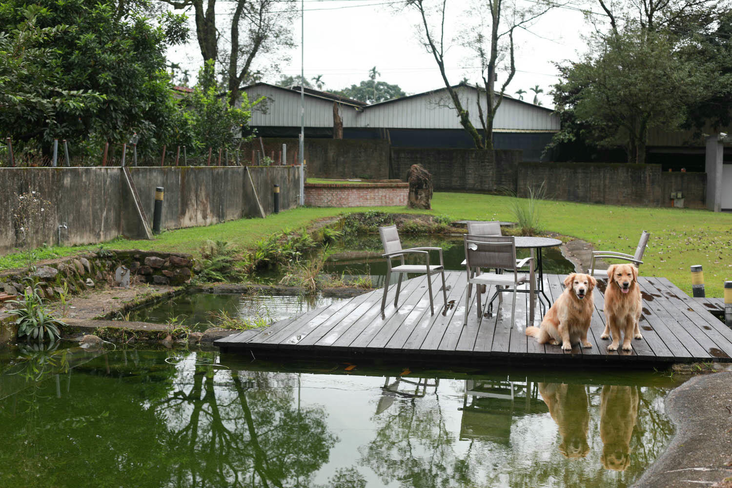 南投埔里｜享想旅宿 REVEL VILLA 。南投寵物友善民宿、溫馨舒適的美式現代風建築、綠意盎然大草皮