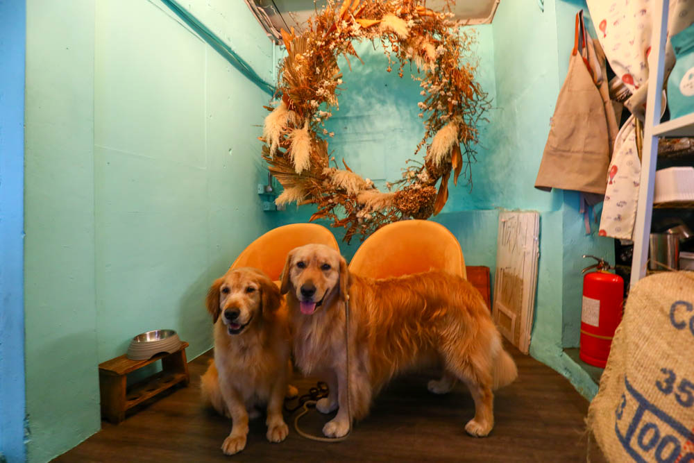 基隆外木山美食| 啾啾咖啡 CHU CHU Cafe。寵物友善餐廳、無敵療癒海景、海景咖啡廳 - 第8張圖 基隆外木山美食| 啾啾咖啡 CHU CHU Cafe。寵物友善餐廳、無敵療癒海景、海景咖啡廳