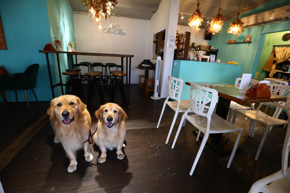 基隆外木山美食| 啾啾咖啡 CHU CHU Cafe。寵物友善餐廳、無敵療癒海景、海景咖啡廳 - 第9張圖 基隆外木山美食| 啾啾咖啡 CHU CHU Cafe。寵物友善餐廳、無敵療癒海景、海景咖啡廳