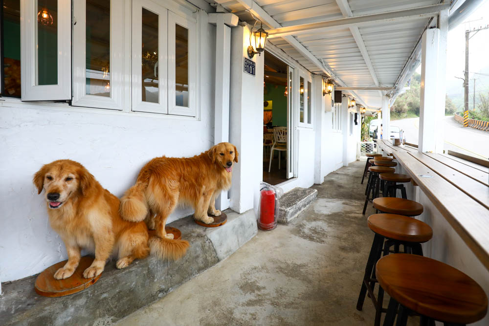 基隆外木山美食| 啾啾咖啡 CHU CHU Cafe。寵物友善餐廳、無敵療癒海景、海景咖啡廳 - 第7張圖 基隆外木山美食| 啾啾咖啡 CHU CHU Cafe。寵物友善餐廳、無敵療癒海景、海景咖啡廳
