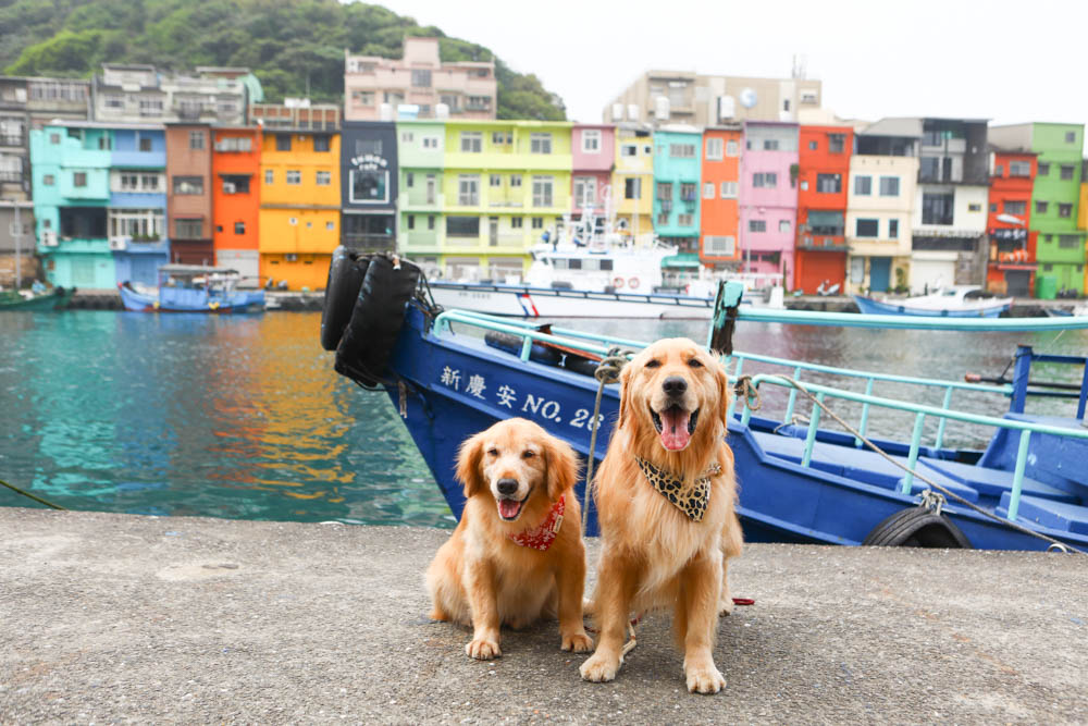 基隆新景點|正濱漁港彩色屋。懷舊碼頭變身異國感十足的威尼斯彩虹小屋、基隆IG打卡景點 - 第1張圖 基隆新景點|正濱漁港彩色屋。懷舊碼頭變身異國感十足的威尼斯彩虹小屋、基隆IG打卡景點