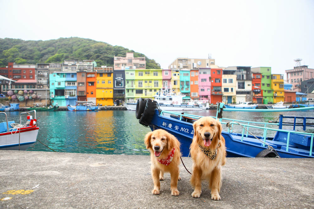 基隆新景點|正濱漁港彩色屋。懷舊碼頭變身異國感十足的威尼斯彩虹小屋、基隆IG打卡景點 - 第6張圖 基隆新景點|正濱漁港彩色屋。懷舊碼頭變身異國感十足的威尼斯彩虹小屋、基隆IG打卡景點