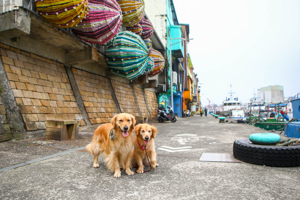 基隆新景點|正濱漁港彩色屋。懷舊碼頭變身異國感十足的威尼斯彩虹小屋、基隆IG打卡景點 - 第14張圖 基隆新景點|正濱漁港彩色屋。懷舊碼頭變身異國感十足的威尼斯彩虹小屋、基隆IG打卡景點