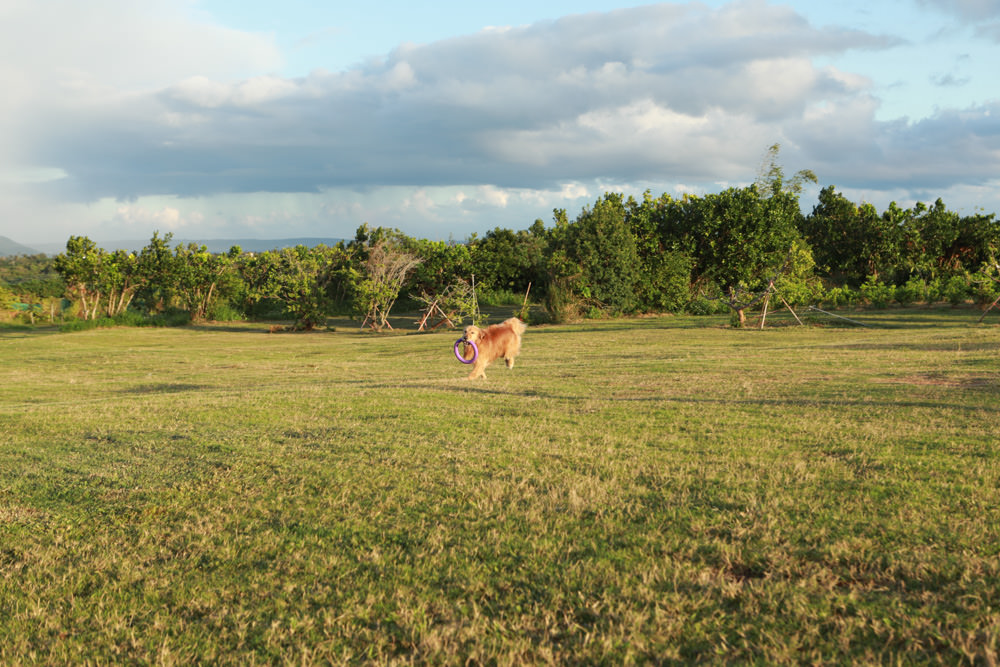 墾丁民宿｜墾丁秘密藍雙人獨棟包棟泳池Villa、毛小孩寵物友善民宿、無邊際大草皮、戲水池