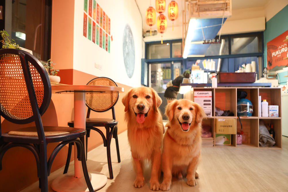 墾丁恆春美食｜夜宵森食屋。寵物友善餐廳、墾丁沖繩風格小店、墾丁宵夜、蚵仔魯肉飯