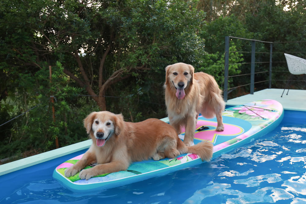 墾丁民宿｜墾丁秘密藍雙人獨棟包棟泳池Villa、毛小孩寵物友善民宿、無邊際大草皮、戲水池