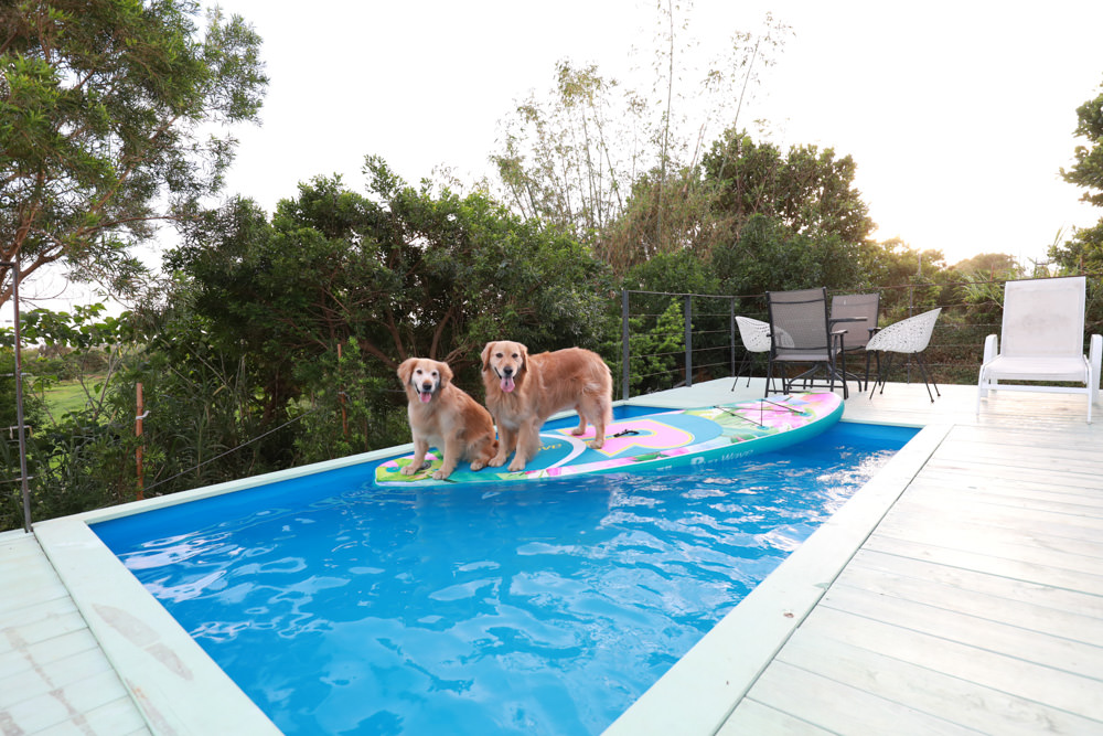 墾丁民宿｜墾丁秘密藍雙人獨棟包棟泳池Villa、毛小孩寵物友善民宿、無邊際大草皮、戲水池
