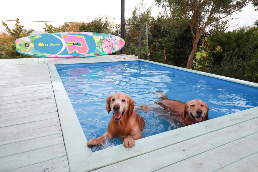 墾丁民宿｜墾丁秘密藍雙人獨棟包棟泳池Villa、毛小孩寵物友善民宿、無邊際大草皮、戲水池