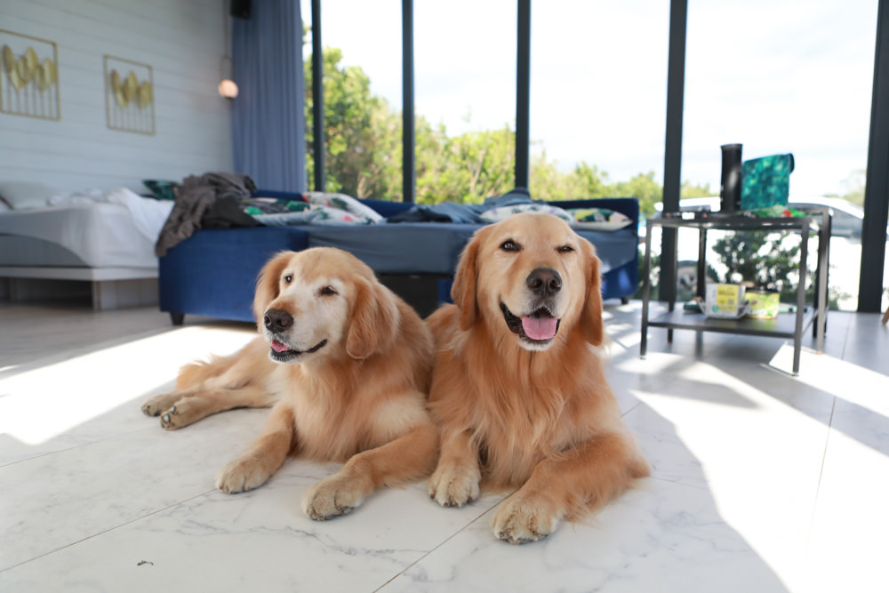 墾丁民宿｜墾丁秘密藍雙人獨棟包棟泳池Villa、毛小孩寵物友善民宿、無邊際大草皮、戲水池